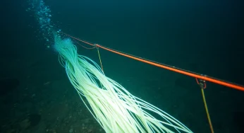Undersea Data Cable Cut Disrupts Baltic Sea Networks