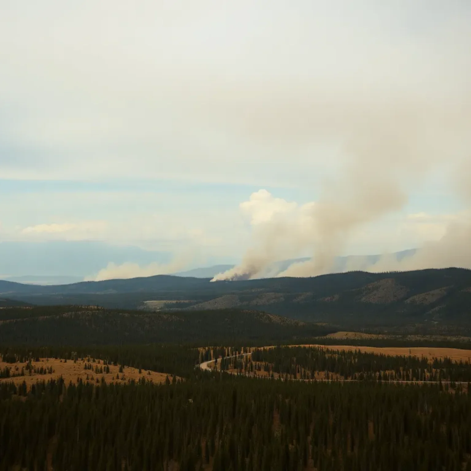 Wildfires in Canada